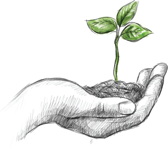 CHÈ MỘC - Nâng niu chè truyền thống Thái Nguyên